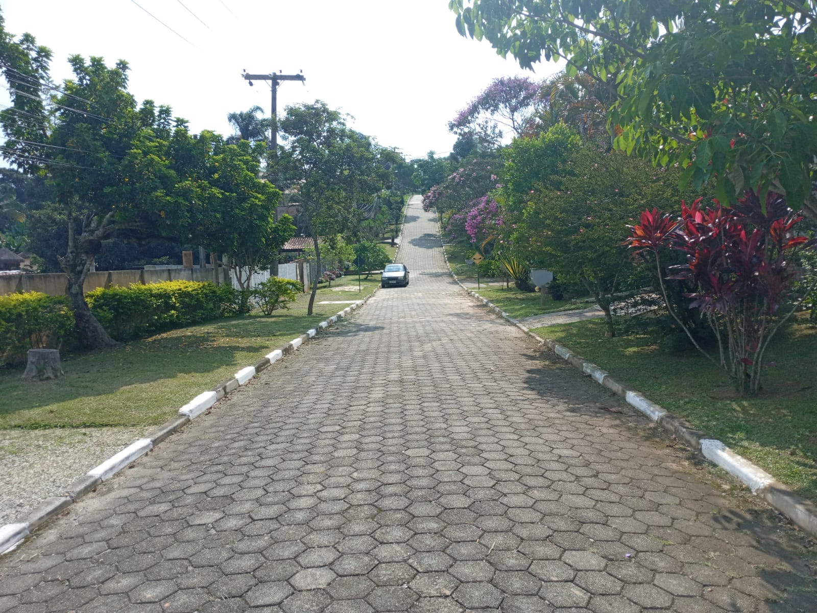 Vista da Alameda Marquesa de Santos 1.jpg